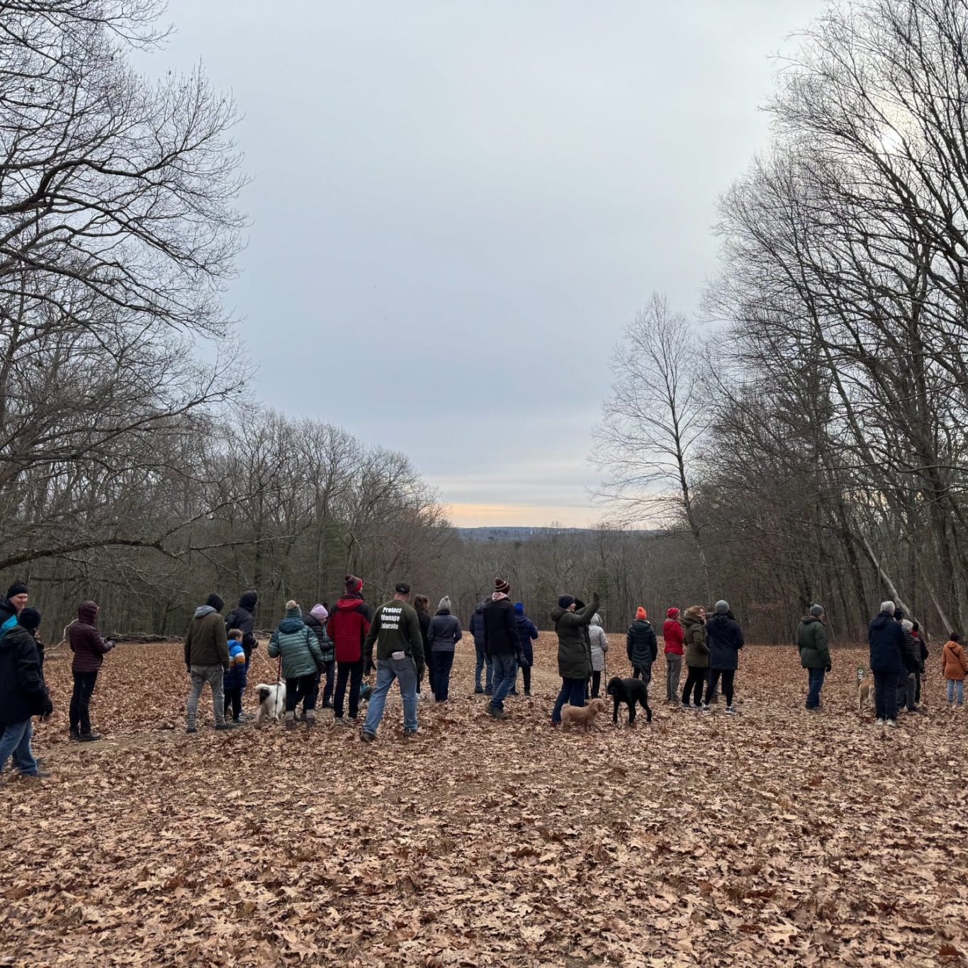 Views of the Blue Hills in the distance as seen from MassBay Forest