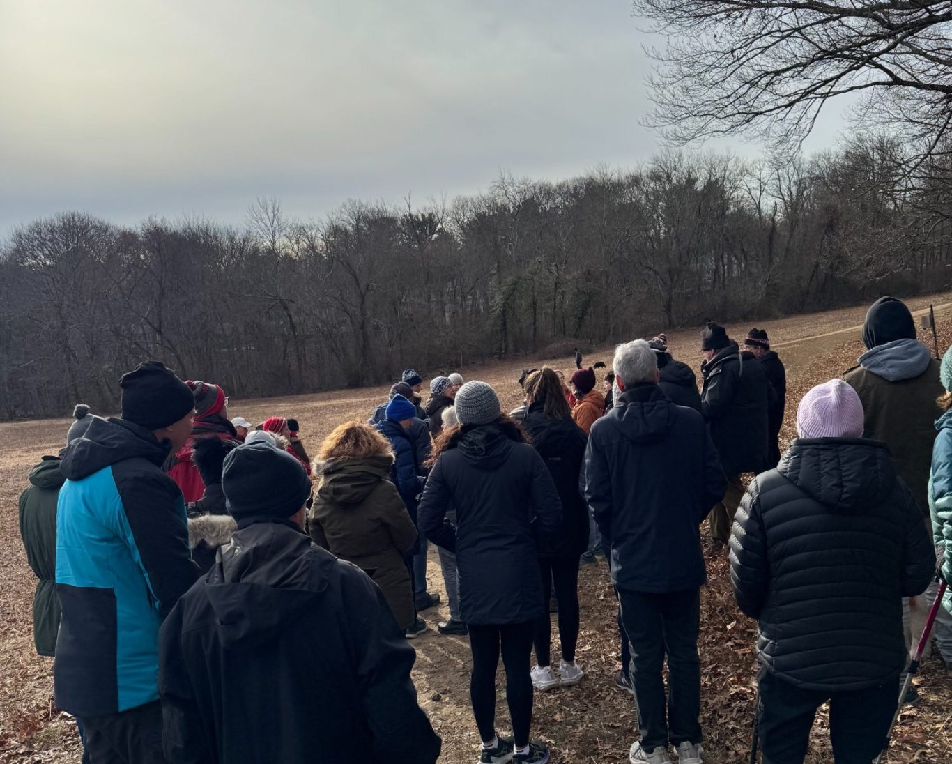 Trails Committee Members lead residents to the top of Maugus Hill, only accessible through the MassBay Forest
